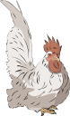 Chicken Clipart