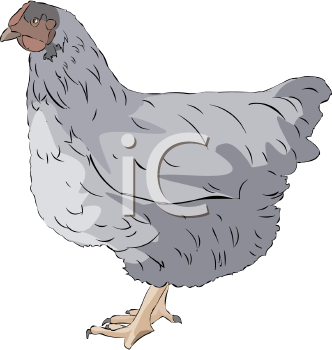 Chicken Clipart