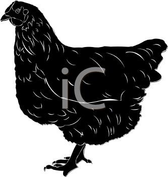 Chicken Clipart