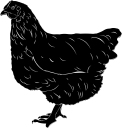 Chicken Clipart