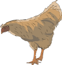 Chicken Clipart