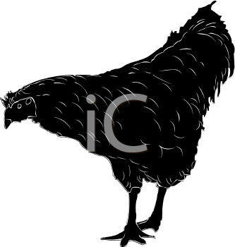 Chicken Clipart