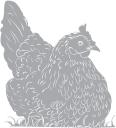 Chicken Clipart