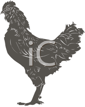 Chicken Clipart