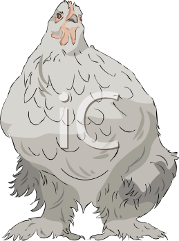 Chicken Clipart