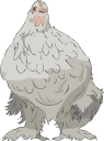 Chicken Clipart