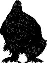 Chicken Clipart