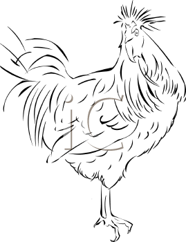 Chicken Clipart