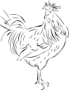 Chicken Clipart