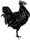 Chicken Clipart