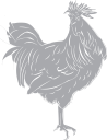 Chicken Clipart