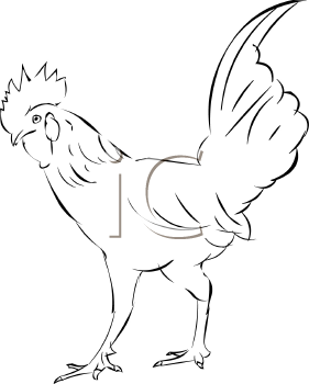 Chicken Clipart