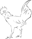 Chicken Clipart