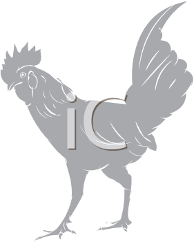 Chicken Clipart