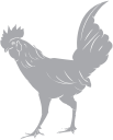 Chicken Clipart