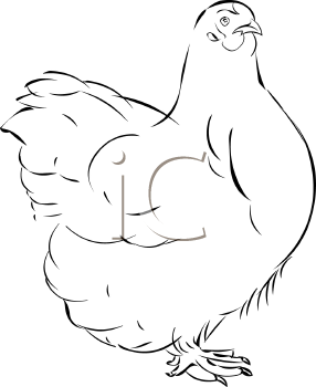 Chicken Clipart