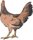 Chicken Clipart