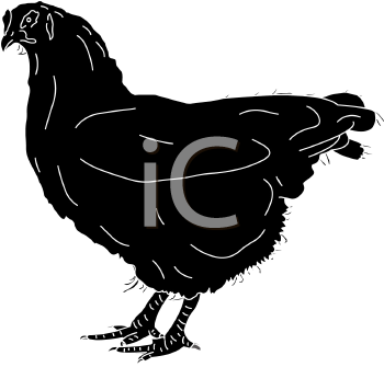 Chicken Clipart