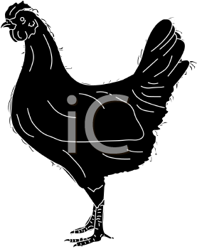 Chicken Clipart