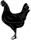 Chicken Clipart