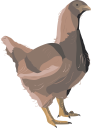 Chicken Clipart