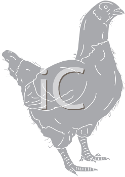 Chicken Clipart