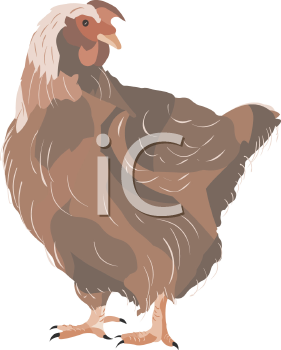 Chicken Clipart