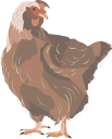 Chicken Clipart