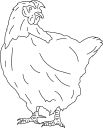 Chicken Clipart