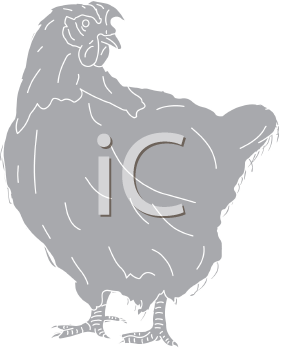 Chicken Clipart