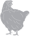 Chicken Clipart