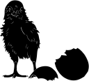 Chicken Clipart