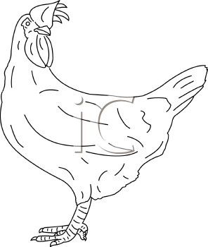 Chicken Clipart