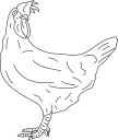 Chicken Clipart