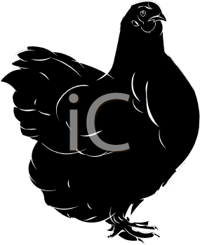 Chicken Clipart