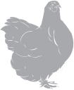 Chicken Clipart