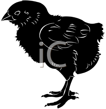 Chicken Clipart