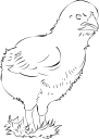 Chicken Clipart