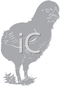 Chicken Clipart