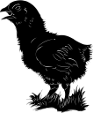 Chicken Clipart