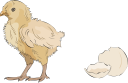 Chicken Clipart