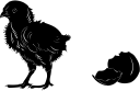 Chicken Clipart