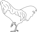 Chicken Clipart