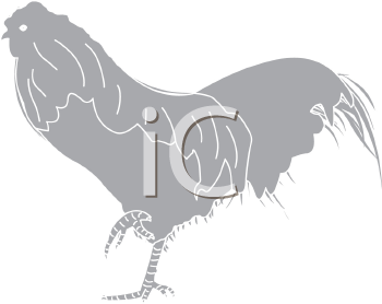 Chicken Clipart