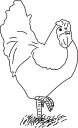 Chicken Clipart