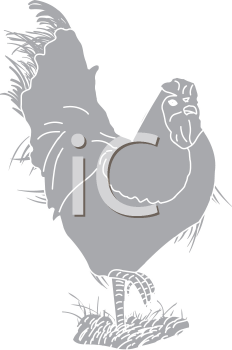 Chicken Clipart