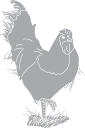 Chicken Clipart