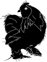 Chicken Clipart