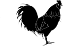 Chicken Clipart