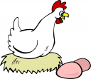 Chicken Clipart